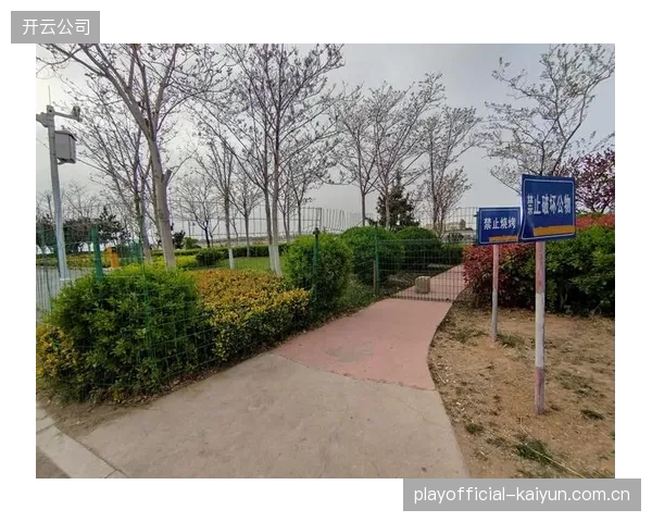 头部科技公司构建的绿道运营平台过于封闭，正在阻碍第三方开发者参与应用创新
